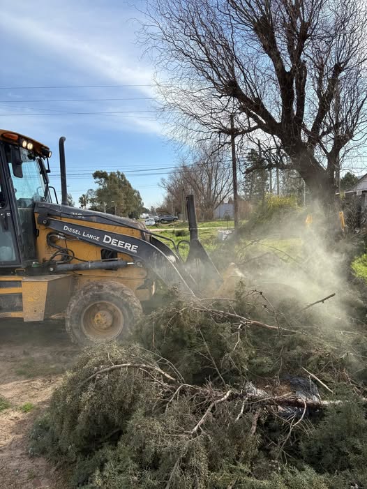 RECOLECCIÓN DE RAMAS EN DISTINTOS PUNTOS DE LA CIUDAD DE&nbsp;BRANDSEN