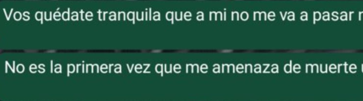 Chat de Erika tratando de calmar a familiares