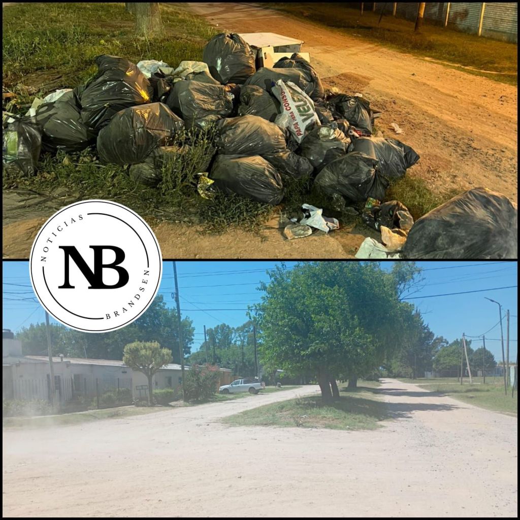 SE LIMPIÓ UN MICROBASURAL EN CALLE 12 Y&nbsp;DAGUERRE