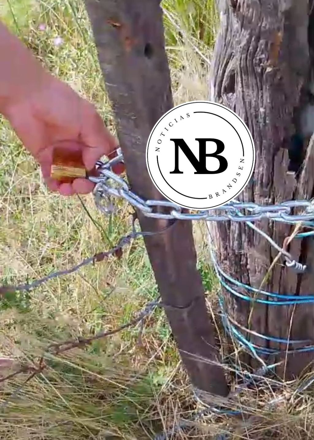 DISPUTA DE TERRENOS EN LA PARADA: ROMPIERON UN CANDADO Y SOLTARON A LOS ANIMALES