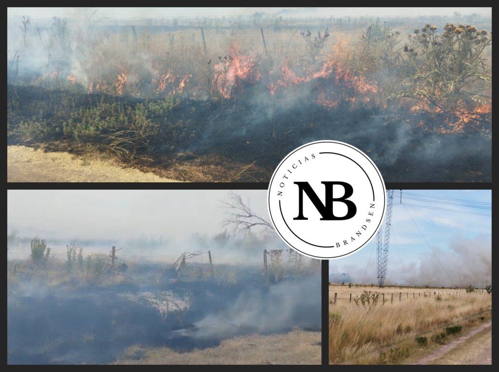 FEROZ INCENDIO DE PASTIZALES EN CAMPOS DE RUTA 2: TEMEN QUE EL FUEGO LLEGUE A LAS&nbsp;CASAS