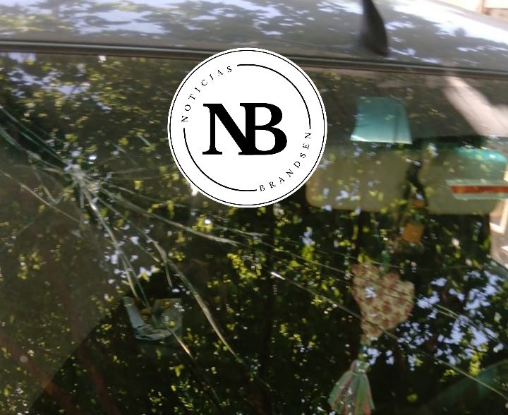 INSÓLITO: LOS VECINOS TENÍAN AL PERRO EN EL TECHO, TRASTABILLÓ Y SE CAYÓ ARRIBA DEL PARABRISAS DE UN&nbsp;AUTO