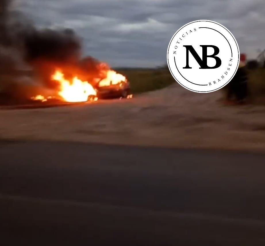 INCENDIO VEHICULAR EN RUTA&nbsp;29