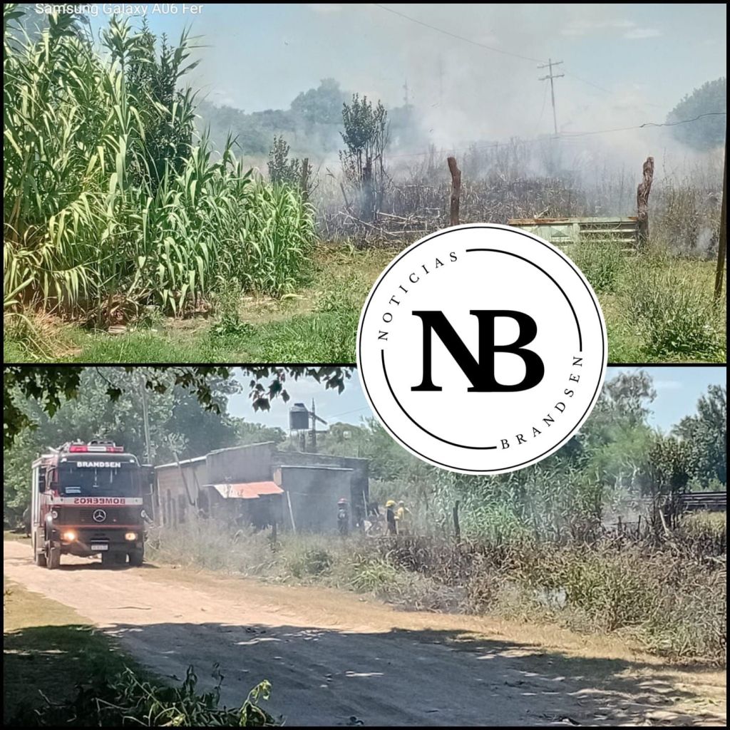 LOS BOMBEROS ACUDIERON A UN INCENDIO DE CAMPO QUE ESTUVO CERCA DE LLEGAR A LAS&nbsp;CASAS