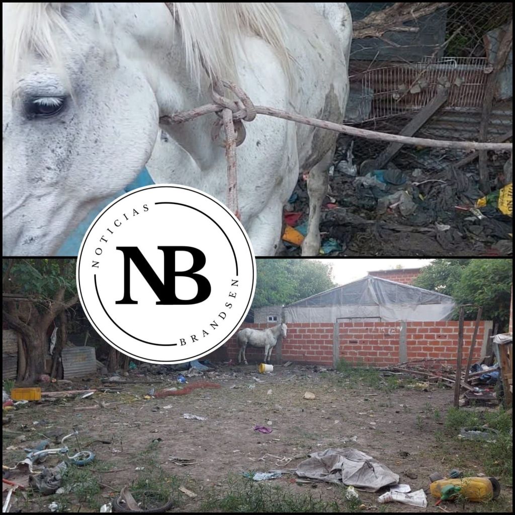 EL CPR DE BRANDSEN COLABORÓ EN UNA INVESTIGACIÓN POR HURTO DE EQUINOS Y SE ALLANÓ UNA VIVIENDA EN FLORENCIO&nbsp;VARELA