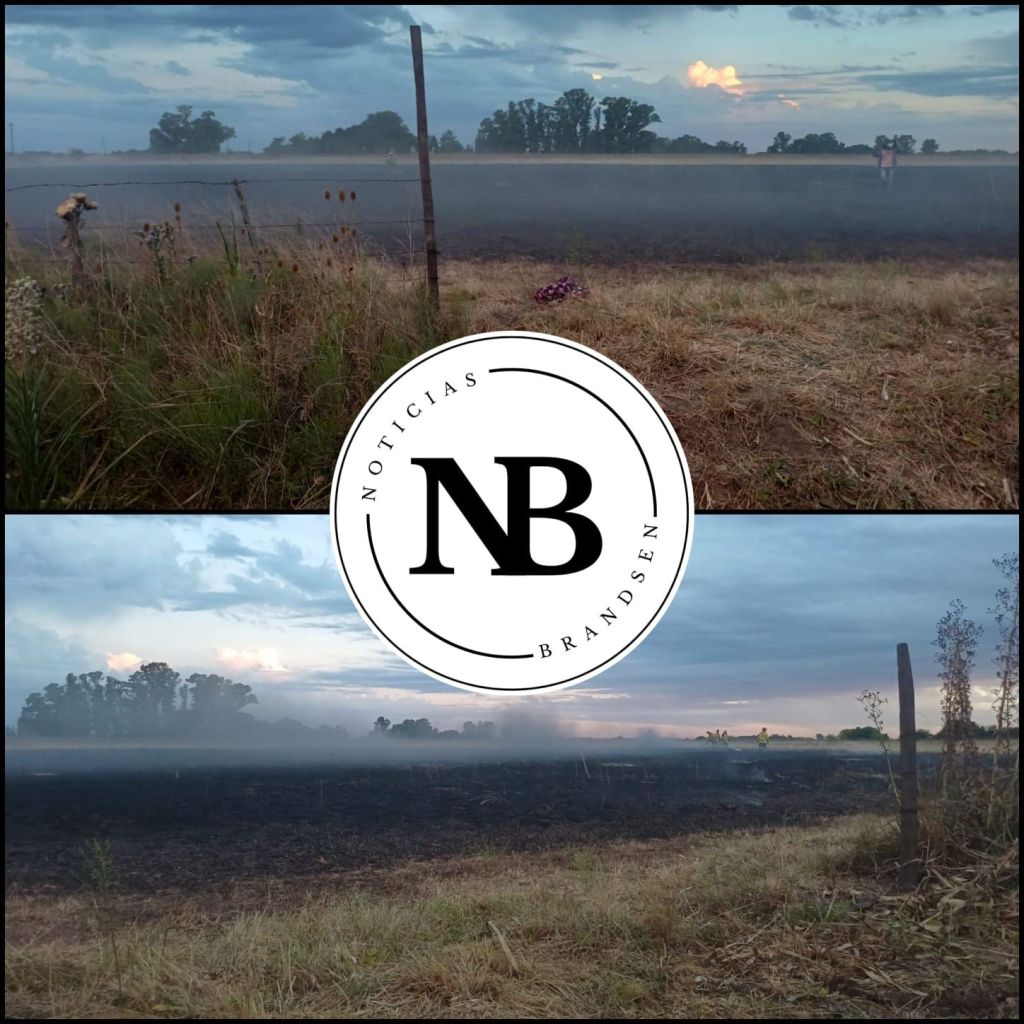 INCENDIO DE CAMPO EN RUTA&nbsp;6