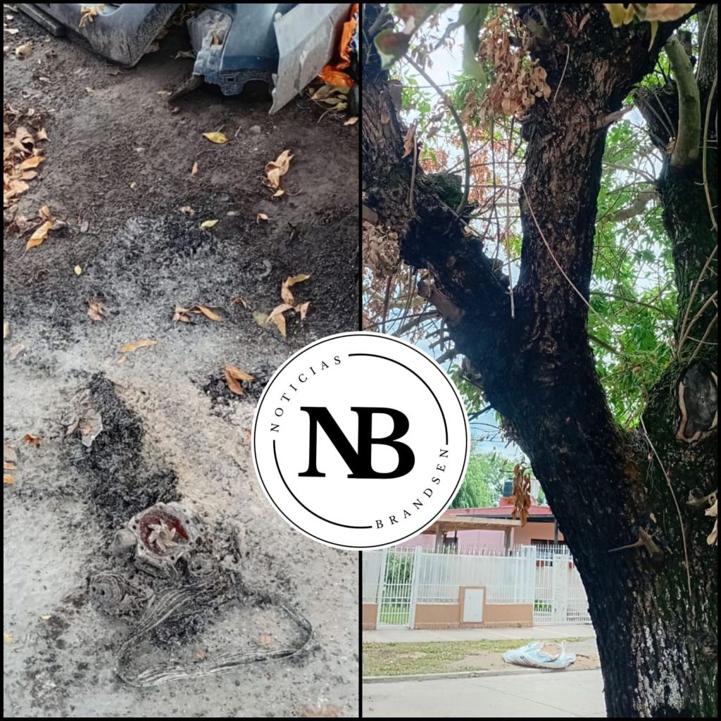 QUEMARON CARTONES, EL FUEGO TOMÓ PARTE DE UN ÁRBOL Y LA LLUVIA LO APAGÓ.