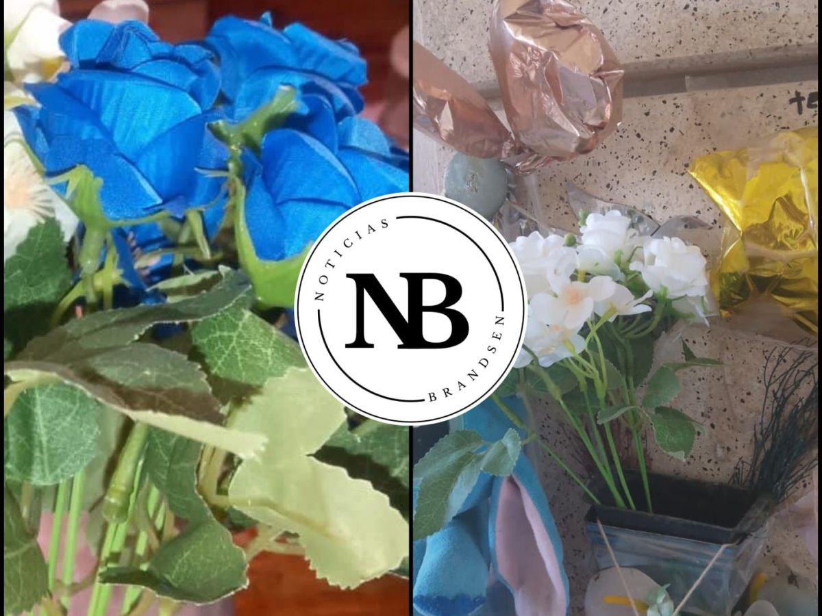 «ESTOY CANSADA DE QUE ROBEN FLORES, JUEGUETES, PELUCHES QUE LE LLEVO A MI&nbsp;HIJO»