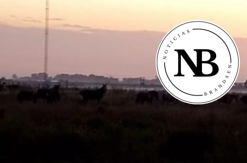 «ME CORTARON LOS ALAMBRES Y SE LLEVARON 19&nbsp;CABALLOS»