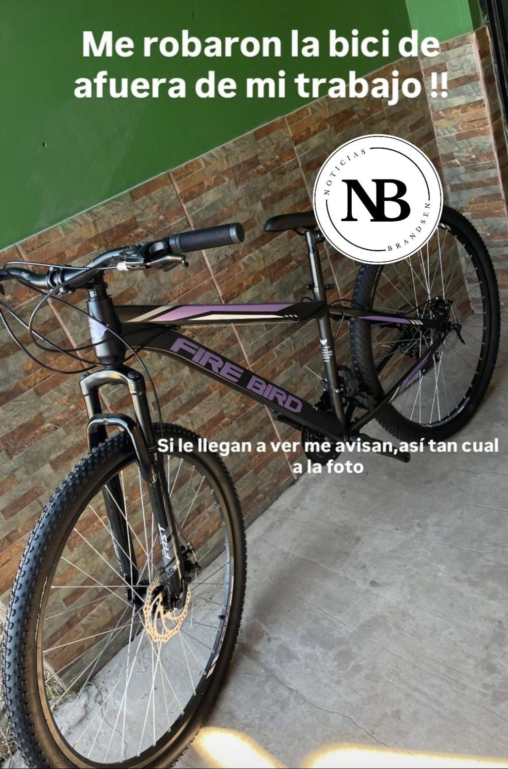 ROBARON UNA BICICLETA EN ZONA&nbsp;CÉNTRICA