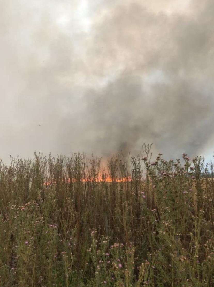 NUEVO INCENDIO DE CAMPO EL KILOMETRO 49 DE RUTA 2.