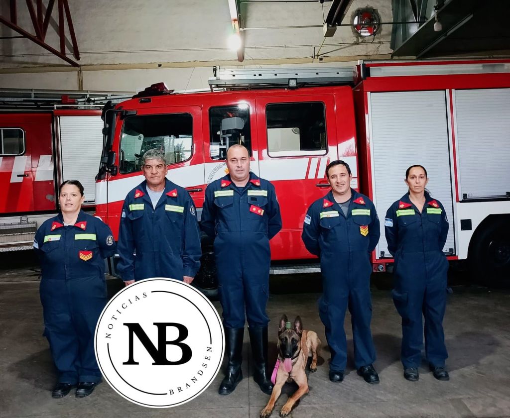 BIENVENIDA LOLA, LA NUEVA INTEGRANTE DEL EQUIPO DE BÚSQUEDA Y RESCATE DE NUESTROS BOMBEROS