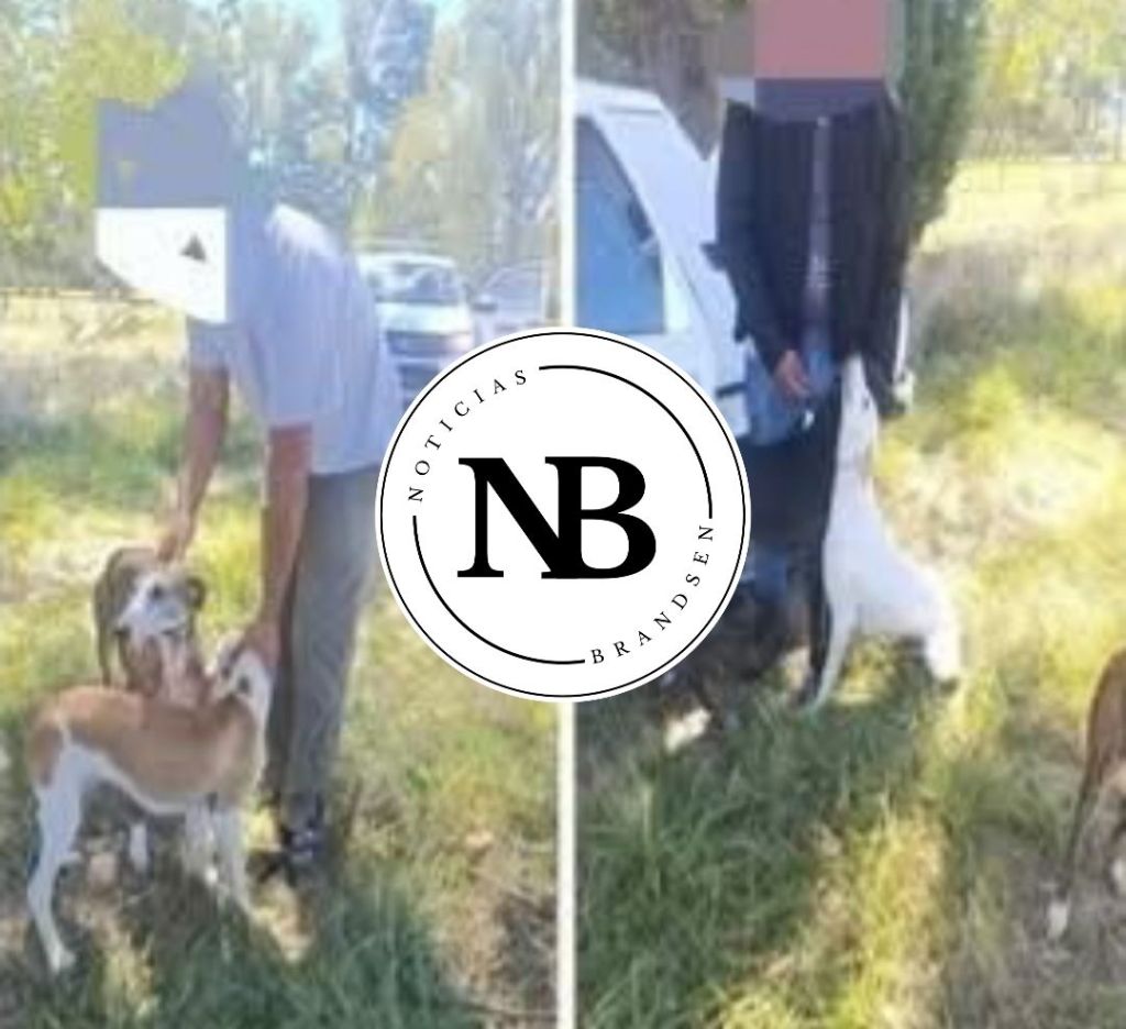 MULTARON A DOS HOMBRES POR REALIZAR CAZA CON GALGOS SIN TENER LICENCIA