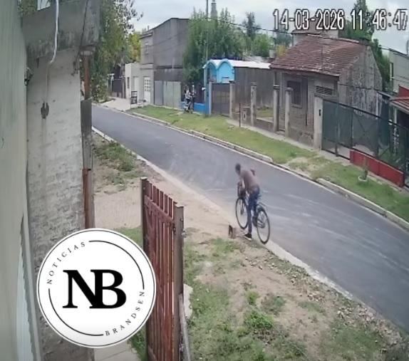 ABANDONÓ A UN GATITO EN UNA CAJA Y QUEDÓ&nbsp;FILMADO