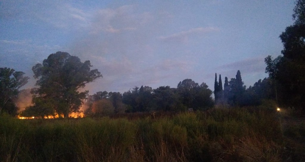 INCENDIO EN ECOMUNDO