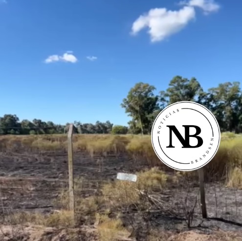 INCENDIO DE CAMPO EN RUTA&nbsp;2