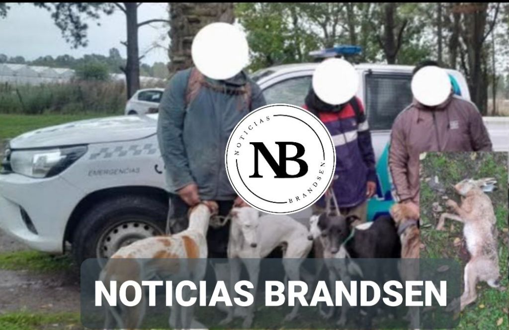INFRACCIÓN POR CAZA FURTIVA CON GALGOS Y DECOMISO DE PIEZA
