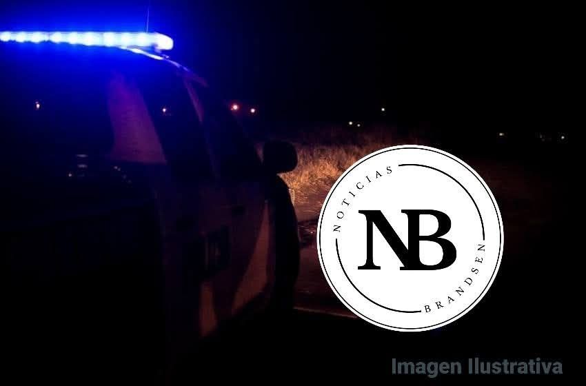 UN TERNERO CRUZÓ LA RUTA Y FUE EMBESTIDO POR UNA CAMIONETA