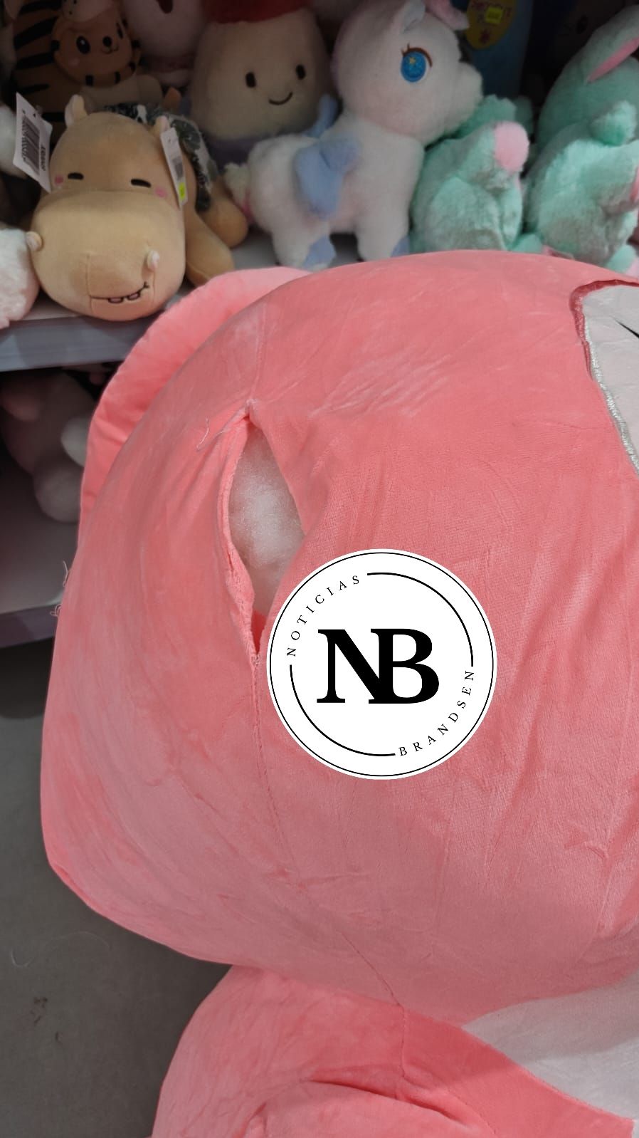 ADOLESCENTES: INGRESARON A UN BAZAR, JUGARON CON PELUCHES Y LOS ROMPIERON. NADIE PAGÓ POR LOS DAÑOS.