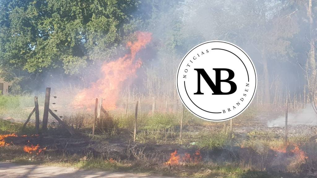 INCENDIO DE PASTIZALES