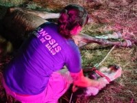 SAN VICENTE: ACCIONES PARA EL CUIDADO Y&nbsp;PROTECCIÓN