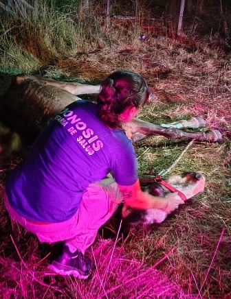 SAN VICENTE: ACCIONES PARA EL CUIDADO Y&nbsp;PROTECCIÓN