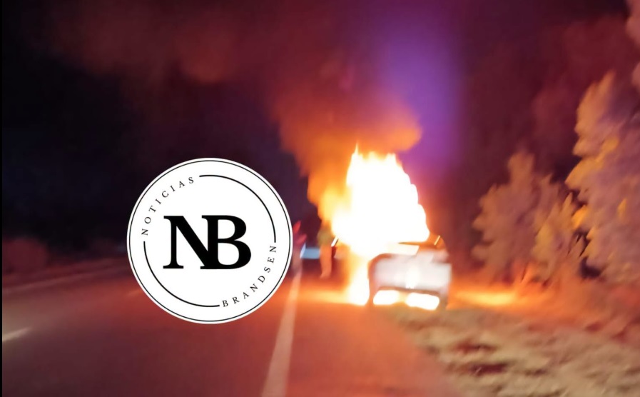 INCENDIO DE AUTO EN RUTA 29