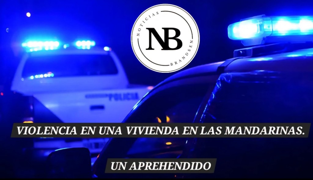 UN APREHENDIDO TRAS UN CONFLICTO EN LAS MANDARINAS