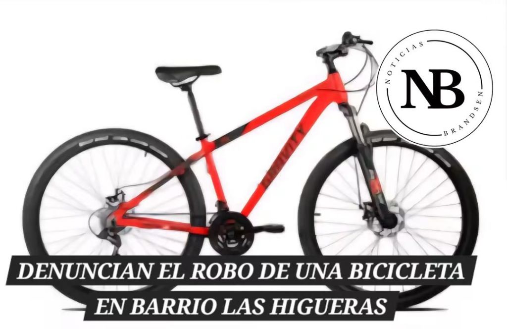 DENUNCIAN EL ROBO DE UNA BICICLETA EN BARRIO LAS HIGUERAS
